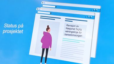 Jordmorfaglige innspill til barselomsorgen